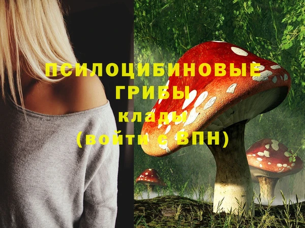 MESCALINE Гусиноозёрск