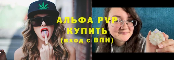 спайс Гусь-Хрустальный