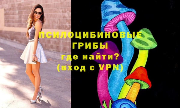 спайс Гусь-Хрустальный