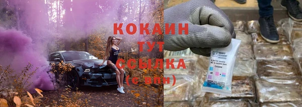 спайс Гусь-Хрустальный