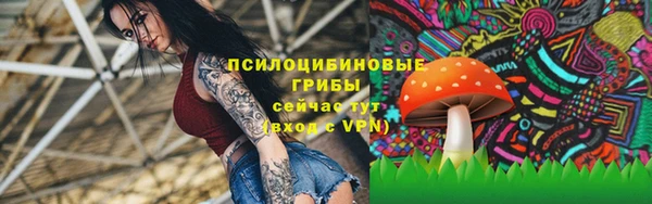 спайс Гусь-Хрустальный