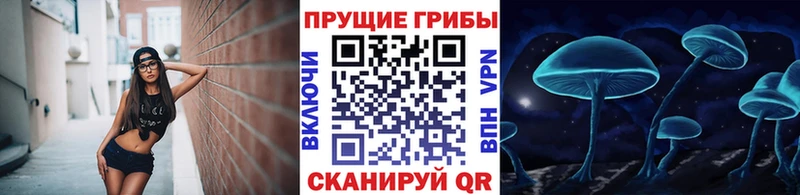 Псилоцибиновые грибы прущие грибы  Купить закладки  Лыткарино 
